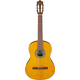 Ibanez GA3-OAM Open Pore Amber 4/4