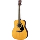 Yamaha F310 Natural Set