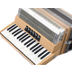Alpenklang Pro Accordeon III 96 Toets-Steierse Els, witte Balg