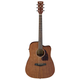 Ibanez PF12MHCE-OPN Open Pore Natural