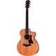 Taylor 24ce