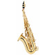 Lechgold LSS-20Lc sopraansaxofoon gelakt