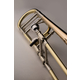 Shires Trombón De Cuarta Latón Dorado TBQ30GR
