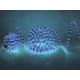 Eurolite RUBBERLIGHT RL1-230V Blau 9m