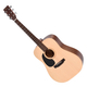 Ditson D-10L Natural Satin Set