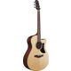 Ibanez AAM300CE-NT Natural High Gloss