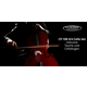 Classic Cantabile CP-100 4/4 Cello Set Natural