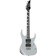 Ibanez GRG170DX-SV Silver Starter Set