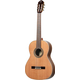 Ortega R20GSNWN Traditional Series 4/4 Guitare Classique