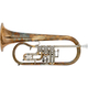 Lechgold FH-24GR Si? Flicorno Non Laccato