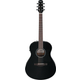 Ibanez AAM100E-BK Black High Gloss