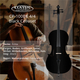 Classic Cantabile CP-100BK 4/4 Cello Set Black