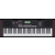 Ensemble Microphone Roland E-X10 Keyboard thumbnail 3