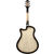 Ibanez AAM370M1CETPA Transparent Panda thumbnail 3