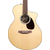 Martin SC-10E thumbnail 3