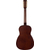Gretsch Jim Dandy Parlor Rex Burst thumbnail 3