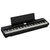 Roland FP-E50 Stagepiano Set thumbnail 3