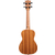 Set di Ukulele Concerto Voggenreiter Valencia thumbnail 3