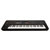 Korg Nautilus 61  - Retoure (Zustand: sehr gut) thumbnail 3