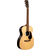Martin Guitars 00-X2E Cocobolo thumbnail 3