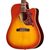 Epiphone Hummingbird Standard EC Cherry Sunburst thumbnail 3