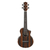 Ibanez UEW13MEE-DBO Concert Ukulele Set thumbnail 3