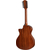 Taylor 362ce Shaded Edgeburst thumbnail 3