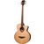 LAG HV10BCE HyVibe 10 Acoustic Bass thumbnail 3
