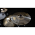 Meinl HCS18DAC 18" HCS Dark Crash thumbnail 3