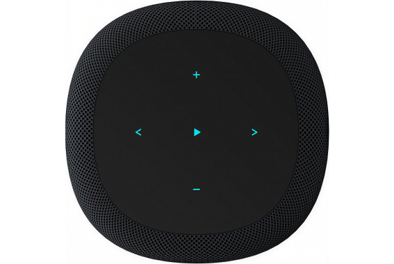 WiiM Sound WiFi Smart Speaker Noir image 3