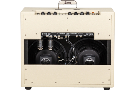 Gibson Dual Falcon 20 Combo 2x10 image 3