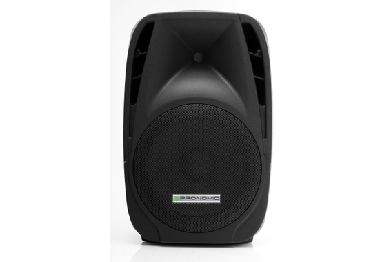 Pronomic PH12 Cassa Passiva 160/300 Watt Coppia image 3