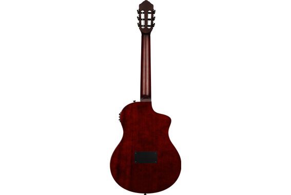 Ortega TourPlayer Deluxe Spar Natuurlijk image 3