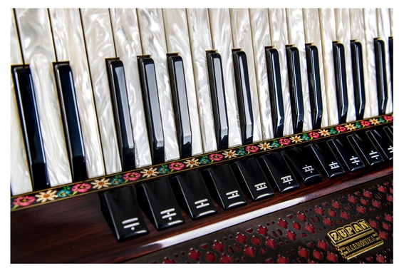 Zupan Alpe V 96 EF/MHR Cassotto Accordéon Palissandre image 3