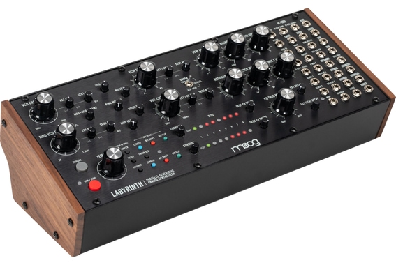 Moog Labyrinth  image 3