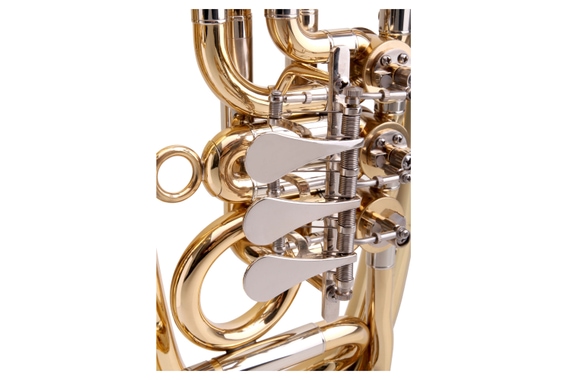 Classic Cantabile TH-38 Junior Tenorhorn Set image 3