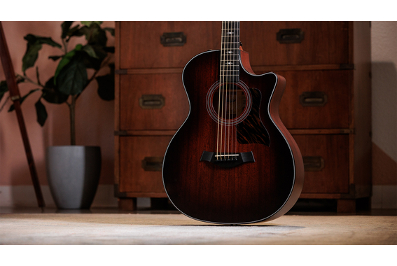 Taylor 324ce Baritone-6 Limited Edition image 3