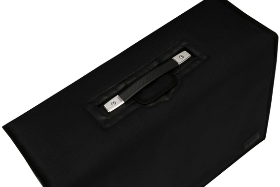 Fodera Imbottita Fender Deluxe per Deluxe Reverb image 3