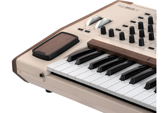 Arturia PolyBrute 12  image 3