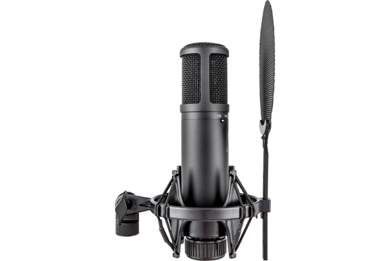 sE Electronics sE 2200 Grootmembraan Microfoon image 3