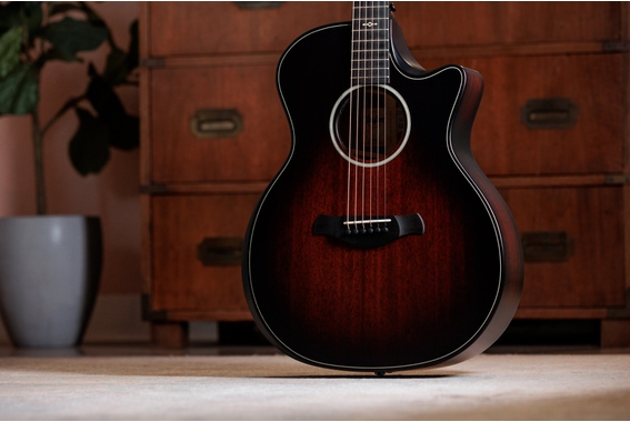 Taylor Builder's Edition 324ce Next Generation image 3