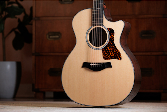 Taylor 454ce Next Generation image 3