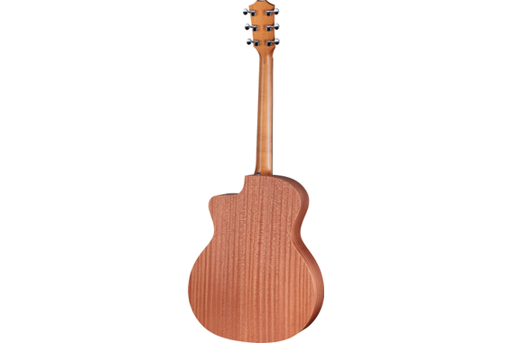 Taylor 24ce image 3