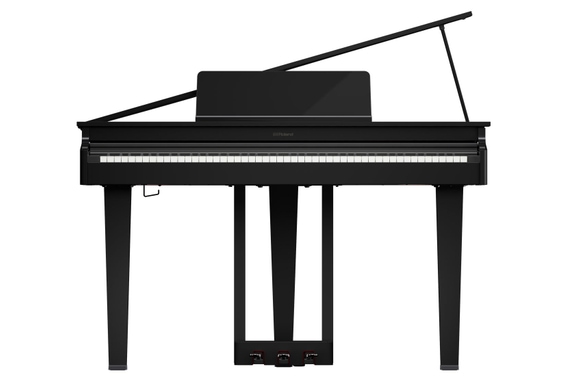 Roland GP-3 PE Digitalvleugel Set image 3