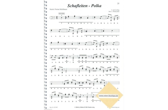 Michlbauer Mi Primer Libro de Canciones Incl. Audio Online image 3
