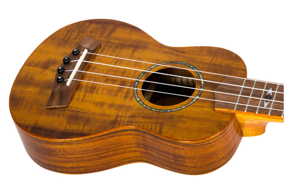 Flight DUS445 Glossy Acacia Soprano Ukulele Set image 3