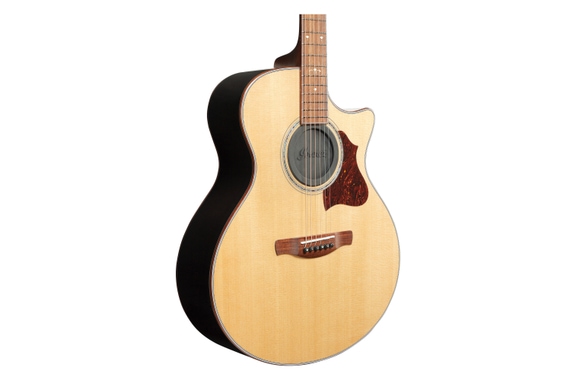 Ibanez ISC1 Soundhole Cover image 3