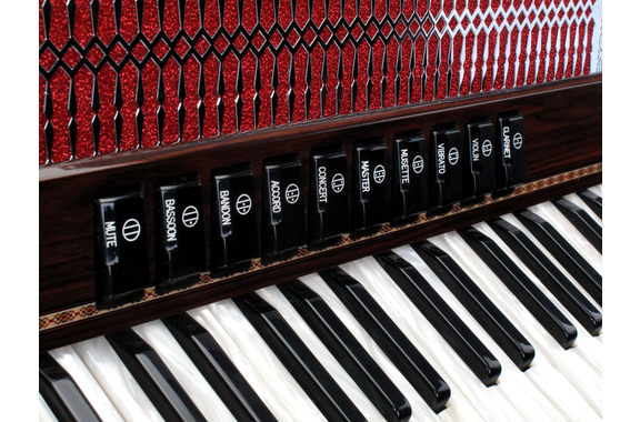 Alpenklang Pro Accordéon IV 96 MHR Palissandre image 3