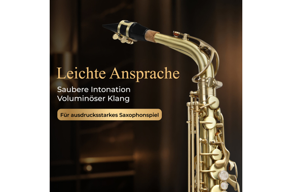 Classic Cantabile Winds AS-450 Brushed Alto Saxophone ESM Set image 3