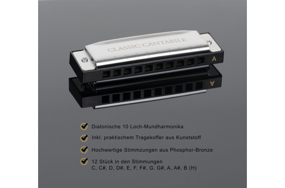 Classic Cantabile AHBS-12 Alabama Blues Harmonica 12er Set image 3